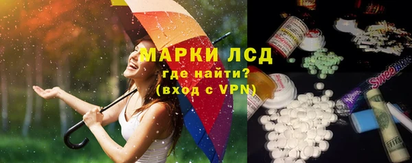 хмурый Алзамай